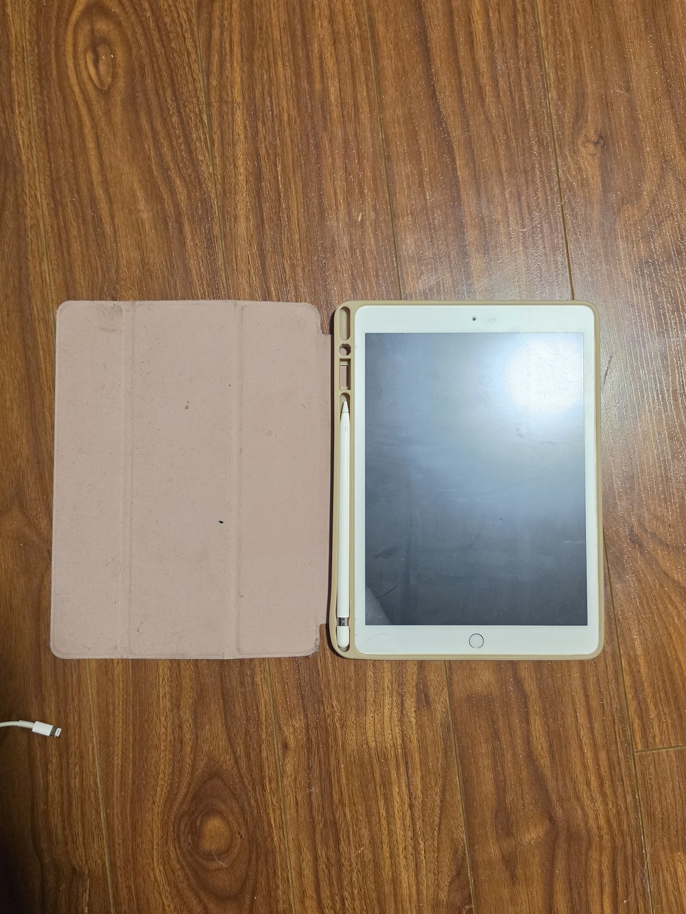 Apple iPad with Rose Gold/pink Case and Apple Pencil